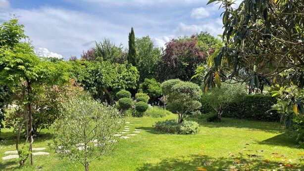 A garden with a variety of trees and shrubs, a stone pathway, and a well-maintained lawn. - Gîtes La Glycine facing the Saint-Emilion river (Vignonet)