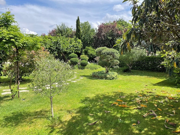 Un giardino con diverse specie di alberi e arbusti, un viale in pietra e un prato curato.