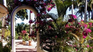 Un percorso esterno con un arco decorativo, circondato da vegetazione lussureggiante e piante fiorite.