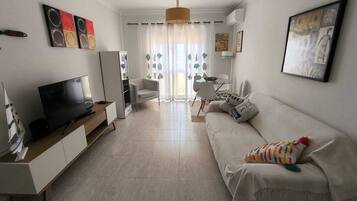 Smart TV, DVD player, books, video library