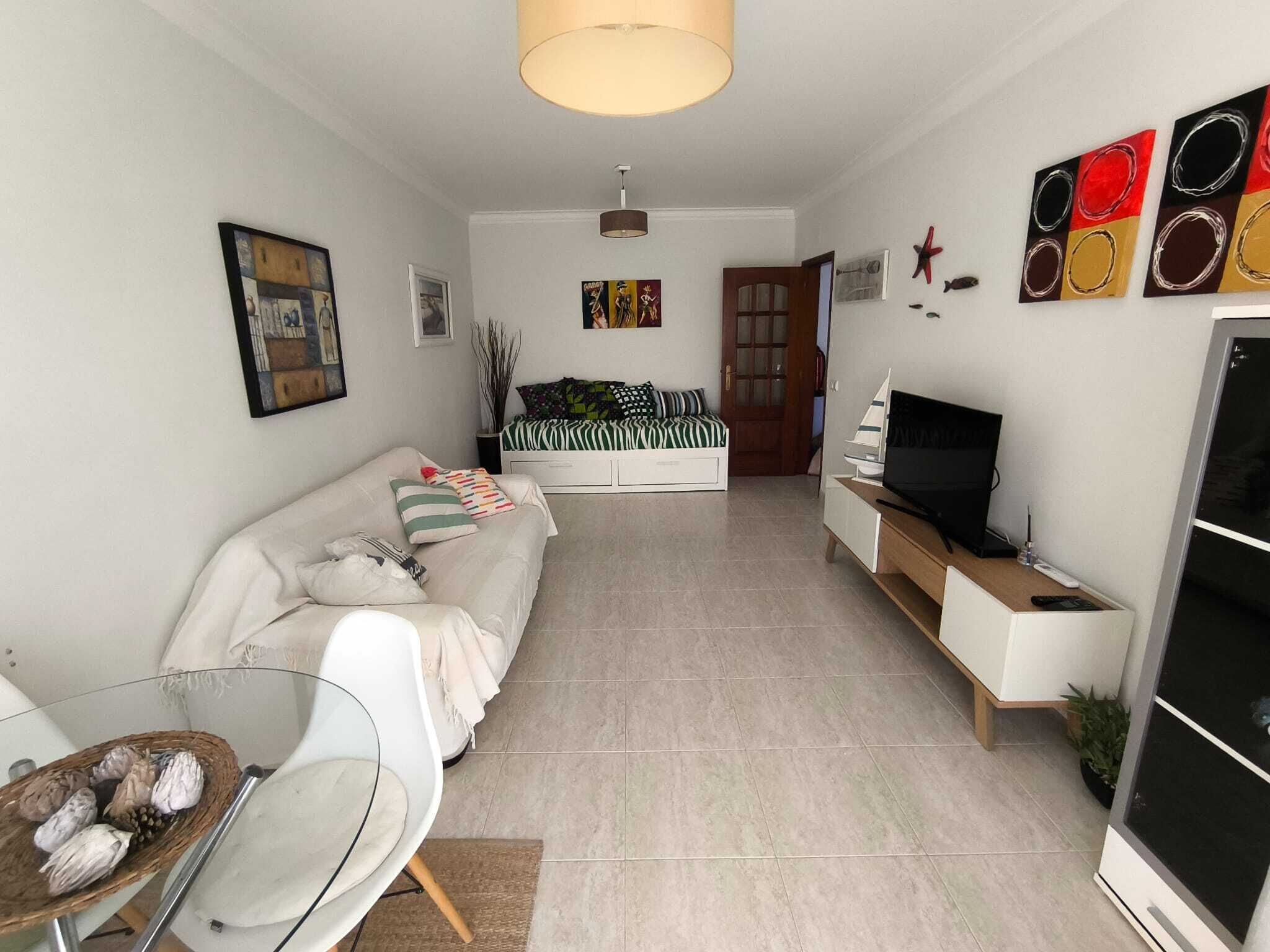 Smart TV, DVD player, books, video library