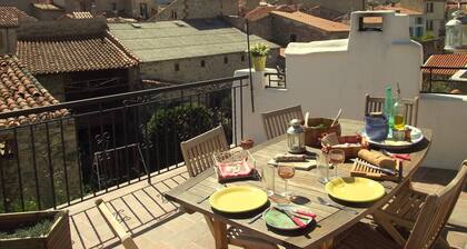 Something different—town house with south-facing roof terrace