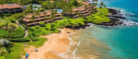 Enjoy a tranquil beachfront setting surrounded by lush greenery and palm trees.