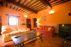 Fernseher, Kamin, DVD-Player, Bücher