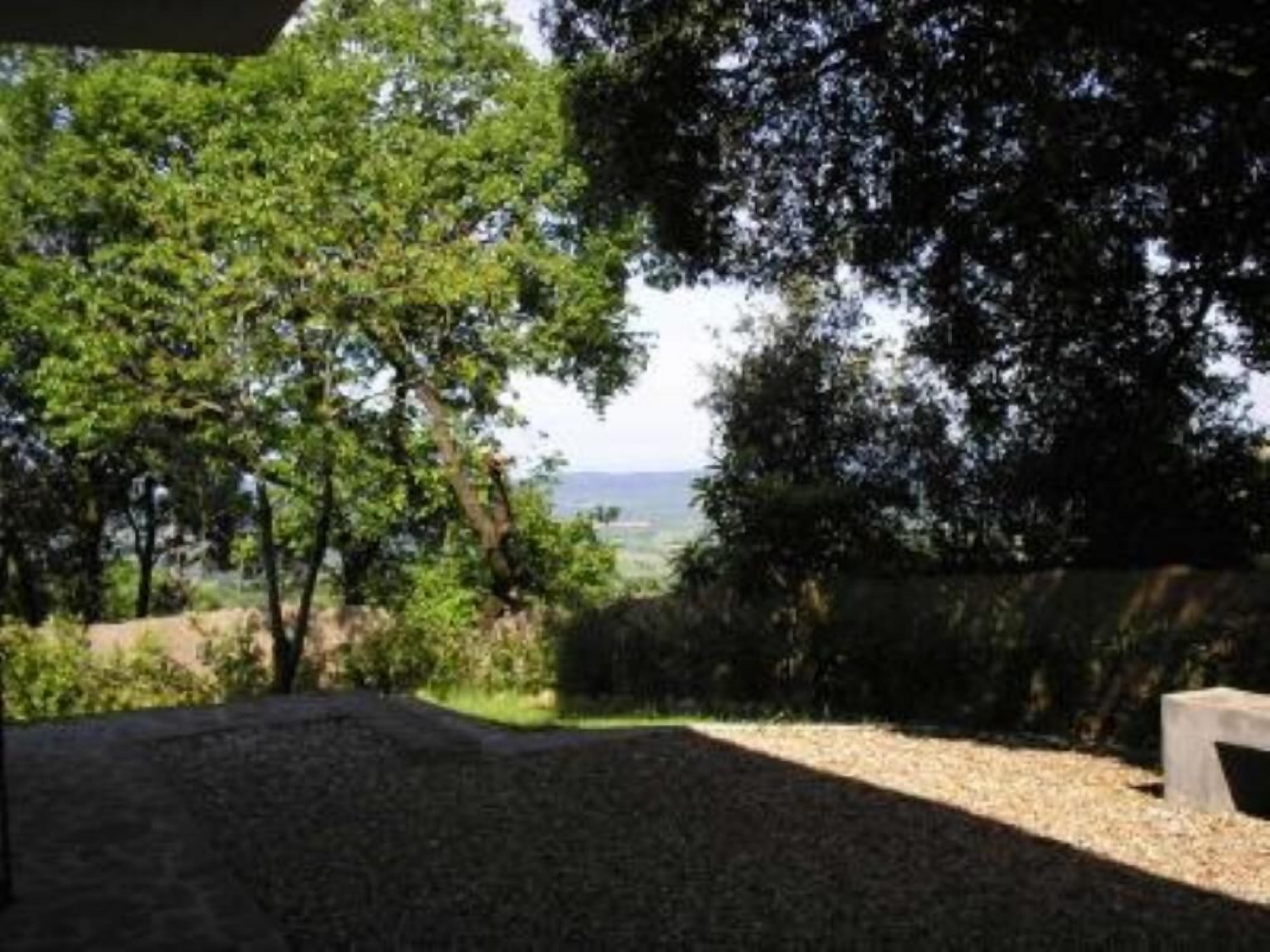 apartment/ flat - Chiusdino localita montecapinoHouse with garden