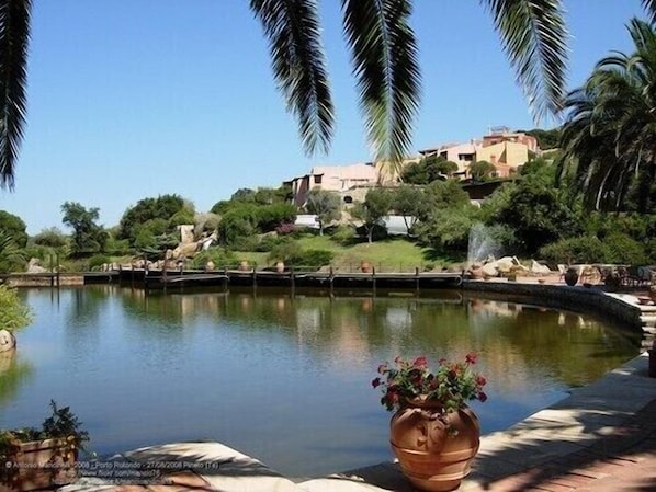 A serene pond with a potted plant in the foreground, surrounded by lush greenery and palm trees.