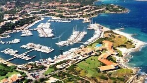 An aerial view of a marina with numerous boats docked, surrounded by residential buildings and greenery.