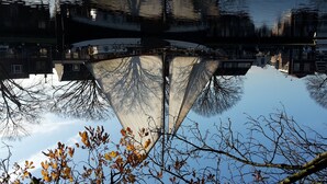 A reflection of a building in a body of water, with bare tree branches in the foreground.