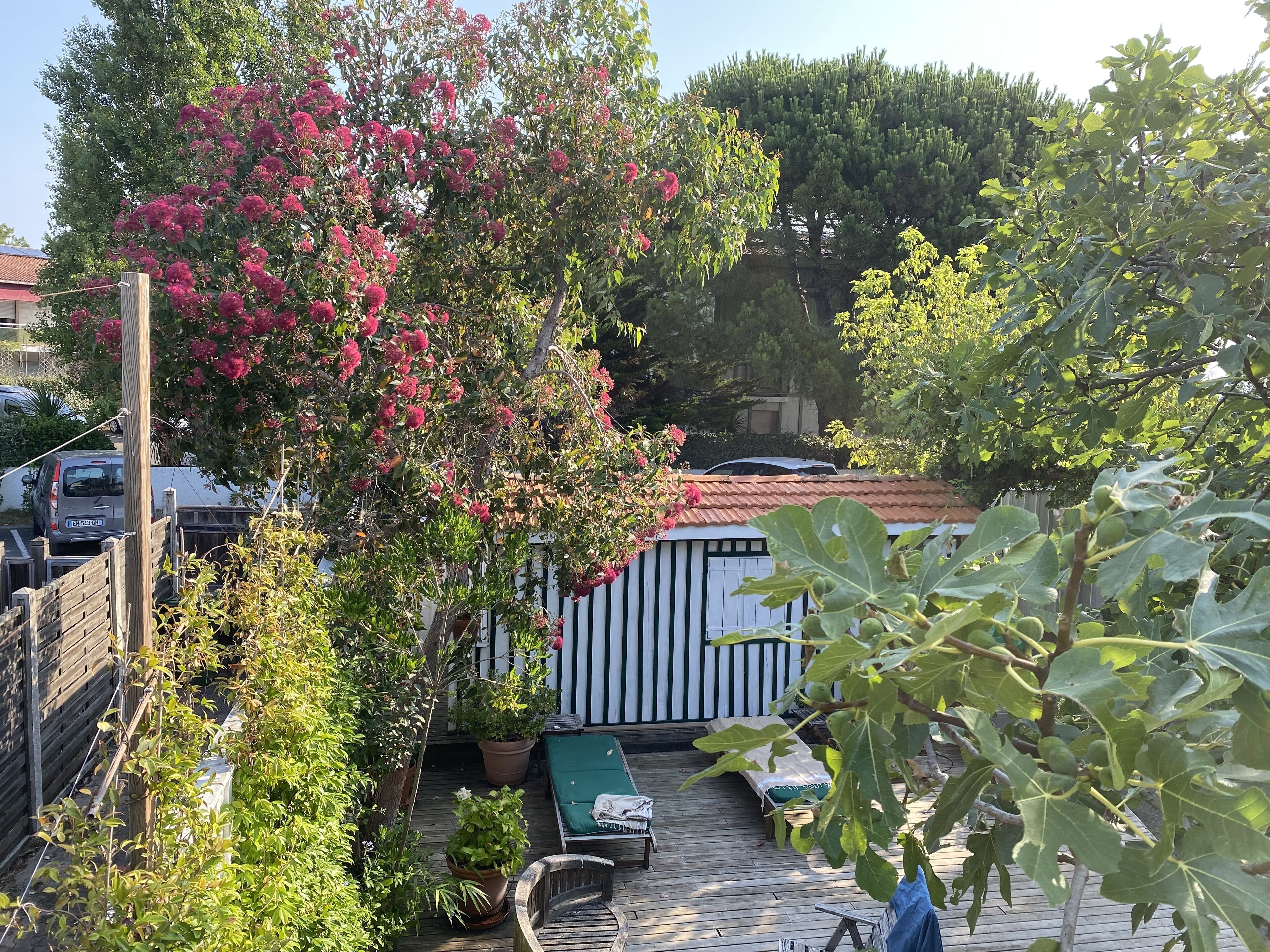 Une terrasse en bois avec un fauteuil de jardin vert, une petite table et un pot de fleurs.