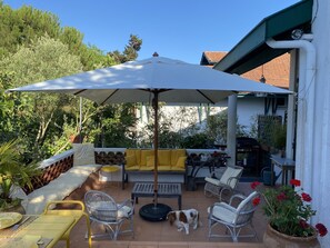 Um pátio externo com guarda-sol branco, móveis de vime e um cão.