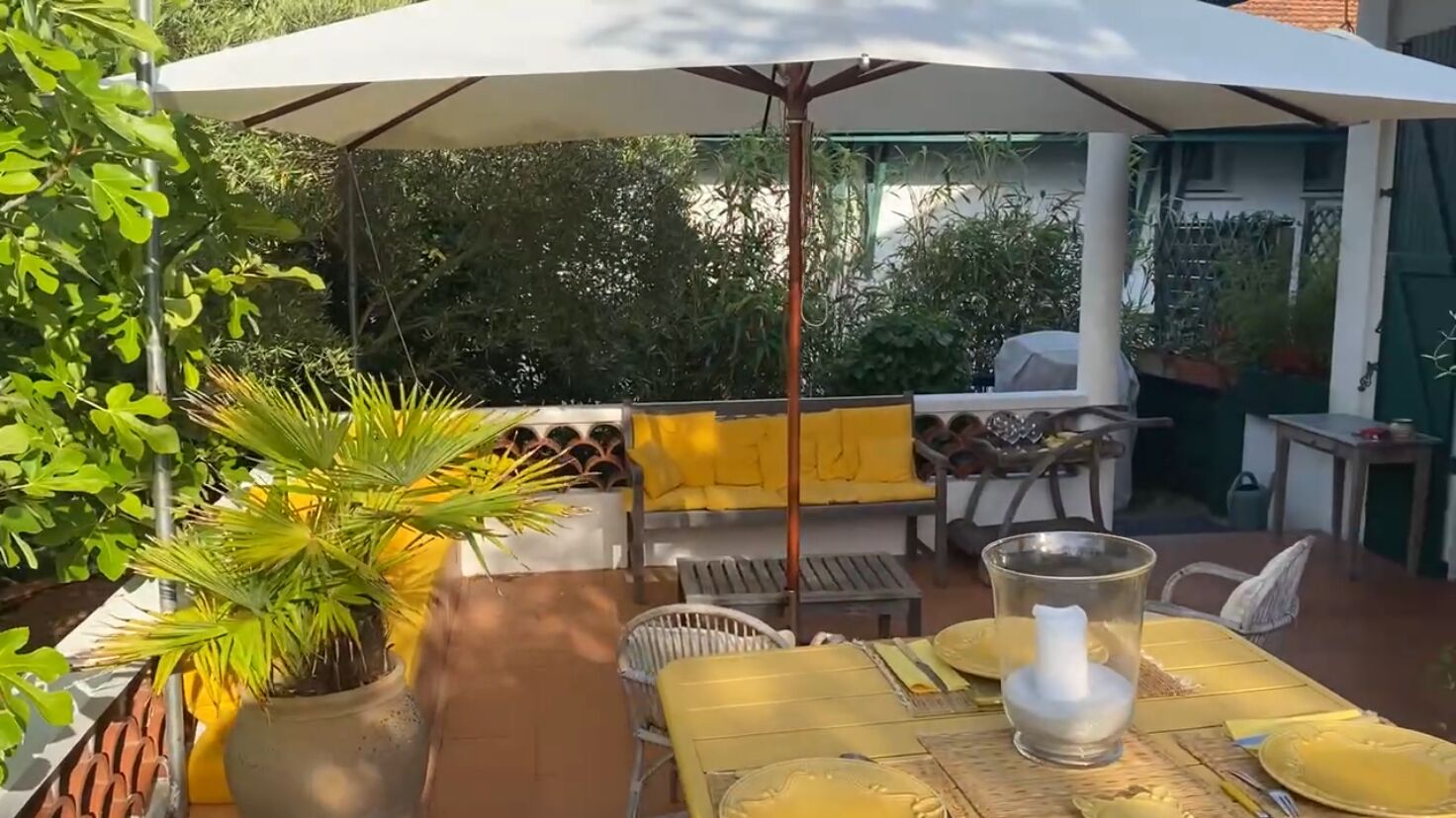 An outdoor patio with a table set for dining, a large umbrella, and a potted plant.