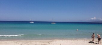 Apartment/ flat - 20220