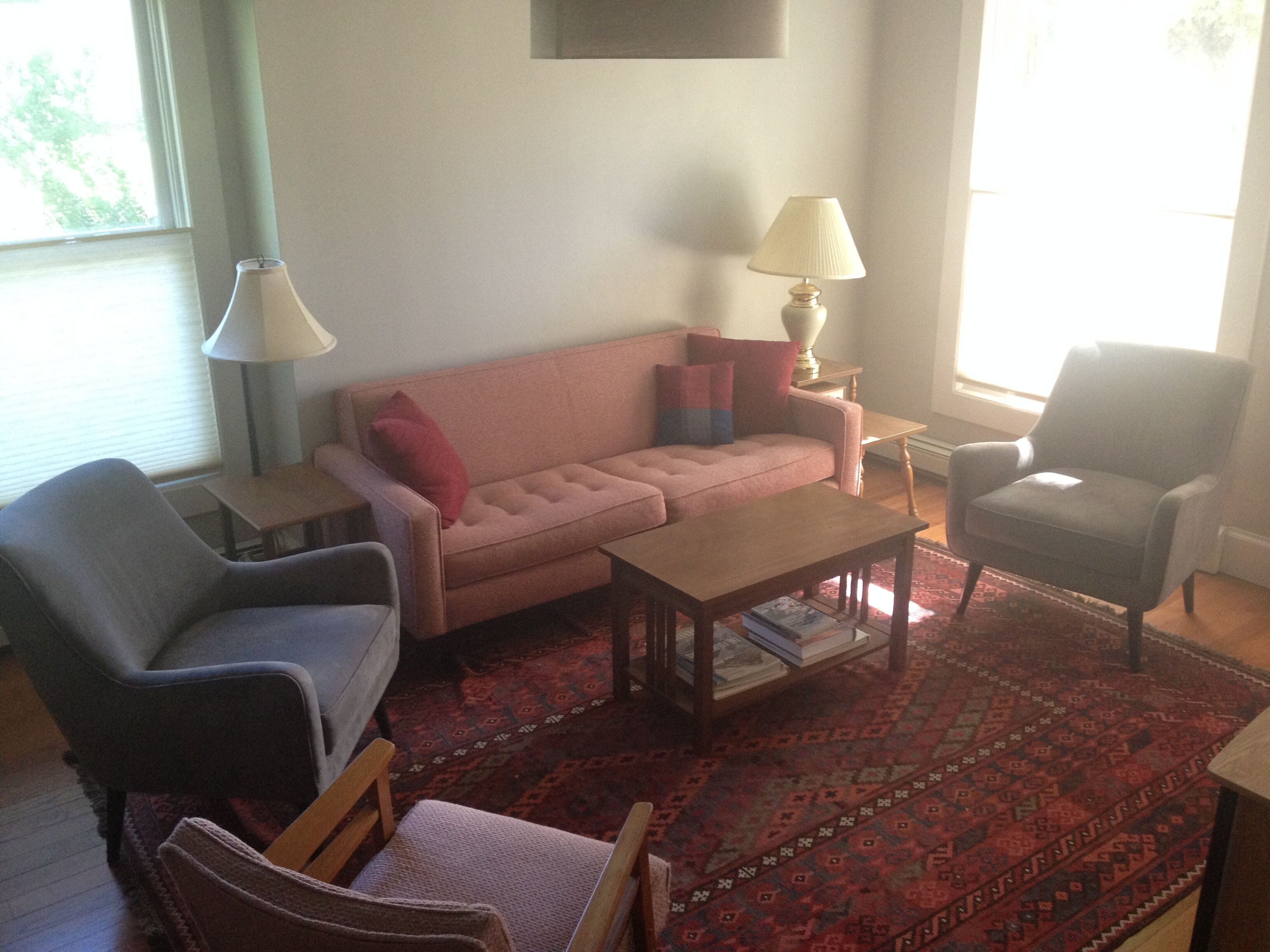 Sweet Mountain Charmer in Town - Near Telluride, Ouray - All!