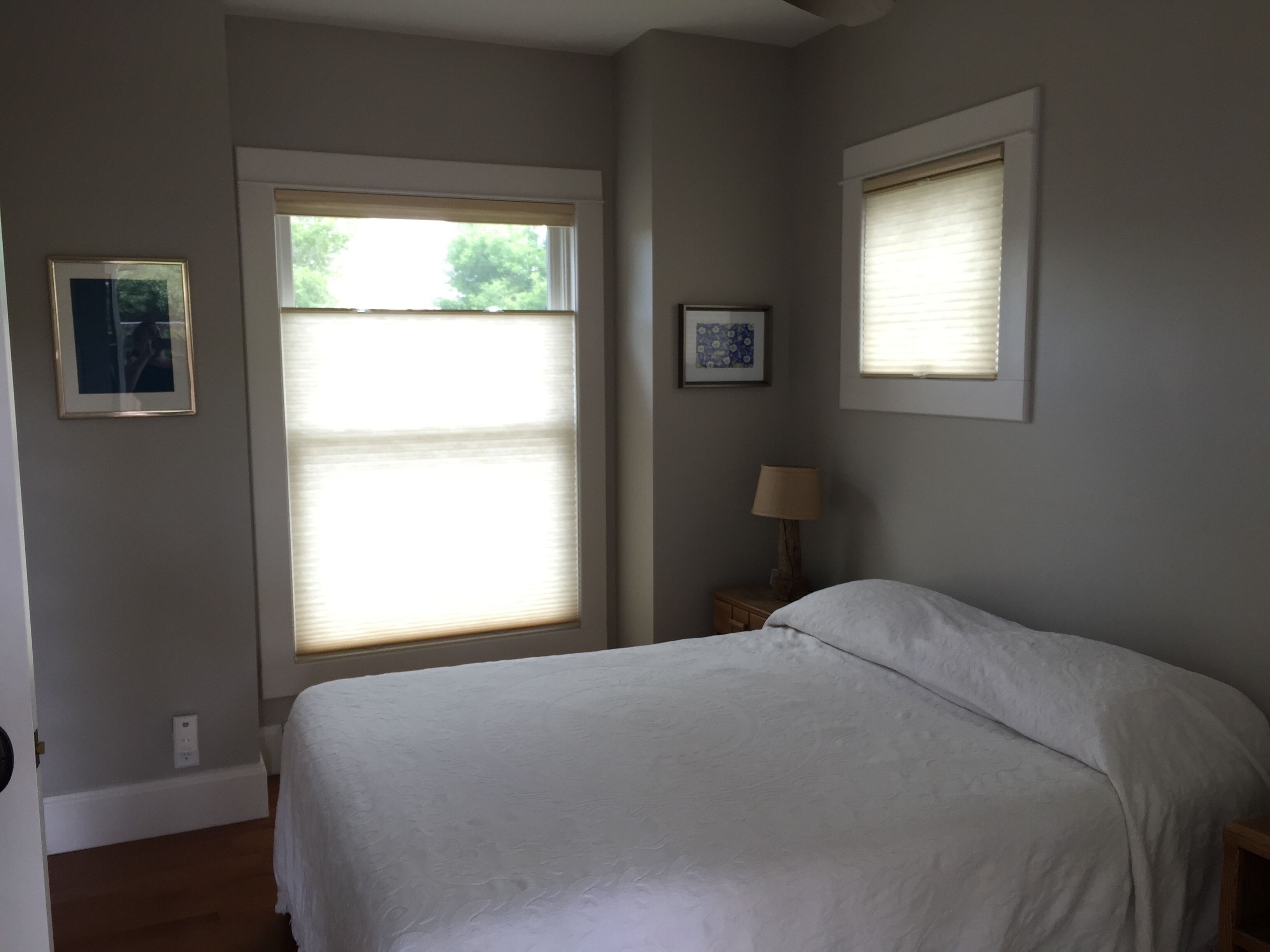 Sweet Mountain Charmer in Town - Near Telluride, Ouray - All!