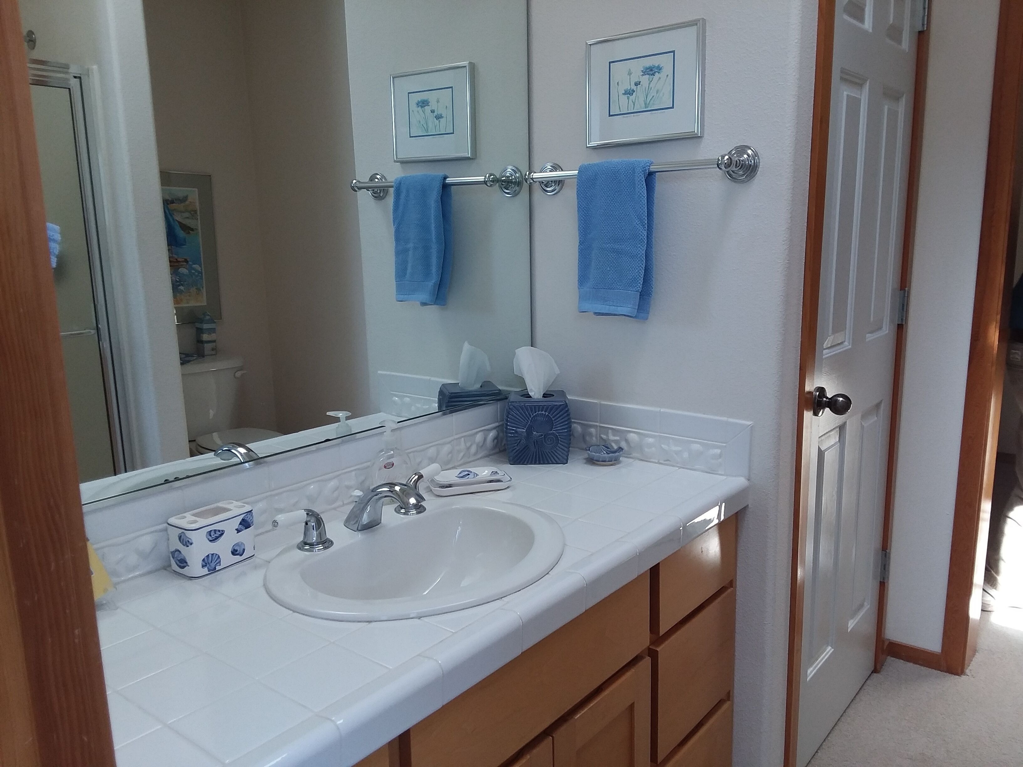 A bathroom with a white sink, a mirror, a towel rack with two towels, a tissue box, and a soap dispenser.