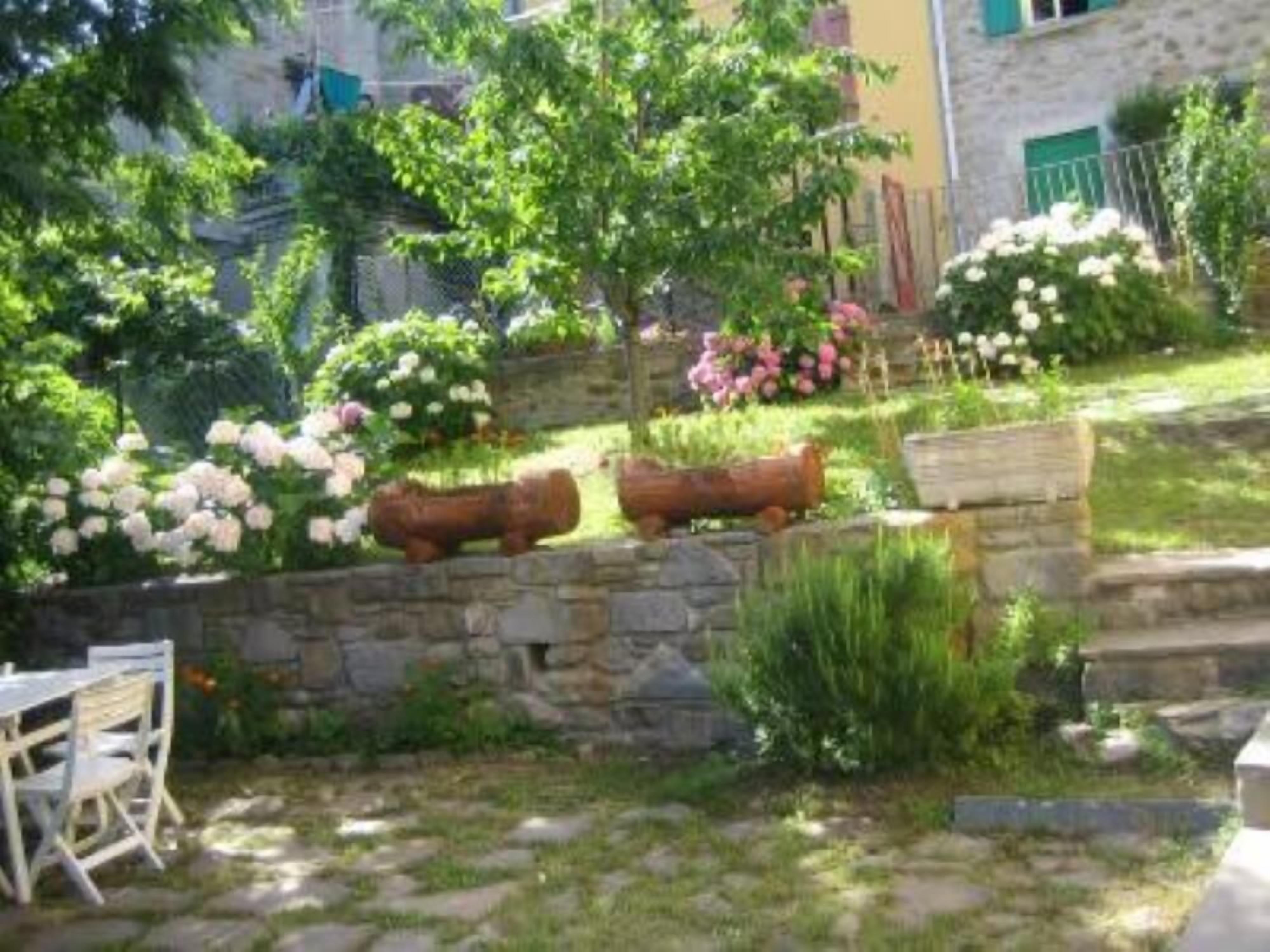 Garden, Park