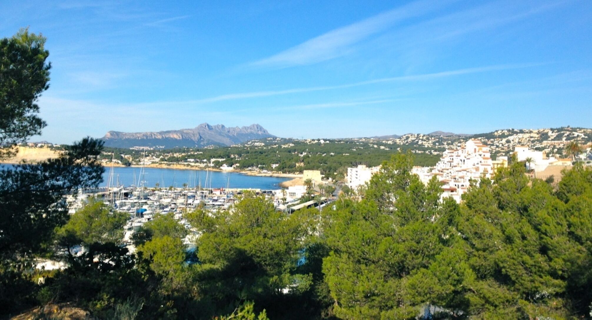 A coastal town with a marina, dense greenery, and a mountain range in the background.