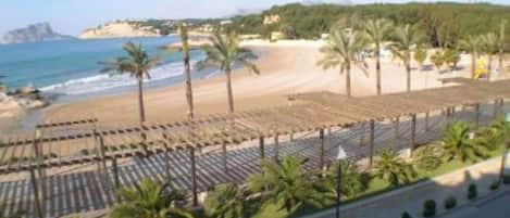 A beach with palm trees, a sandy shore, and a view of the sea.