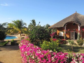 Pool - Saly: villa in very quiet and airy residence, in excellent condition, wifi, TV (SALY)