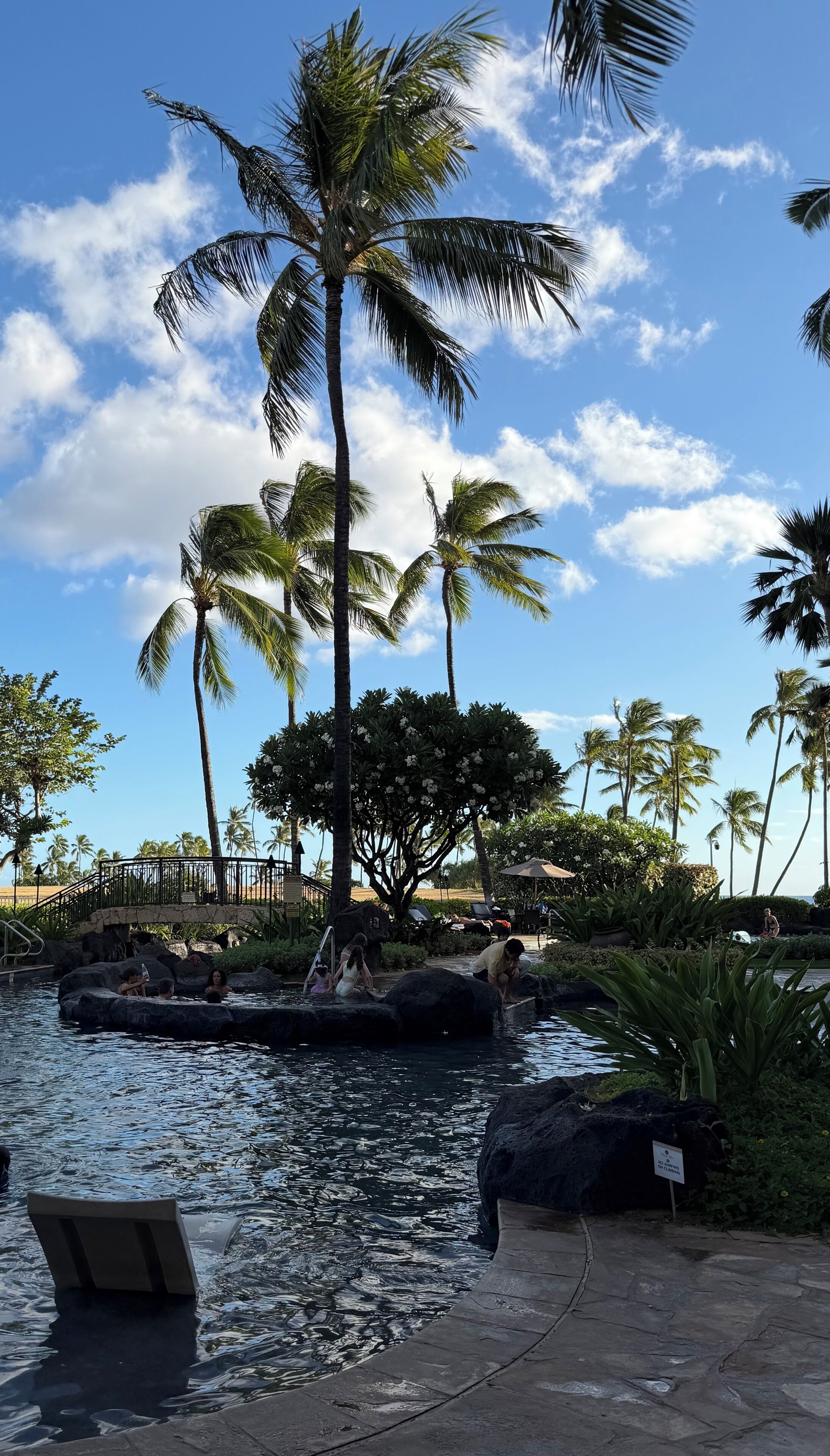 A pool area with palm trees, a bridge, and a statue.