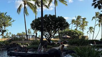A pool area with palm trees, a bridge, and a statue.