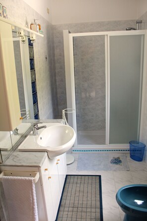Shower, hair dryer, bidet, towels
