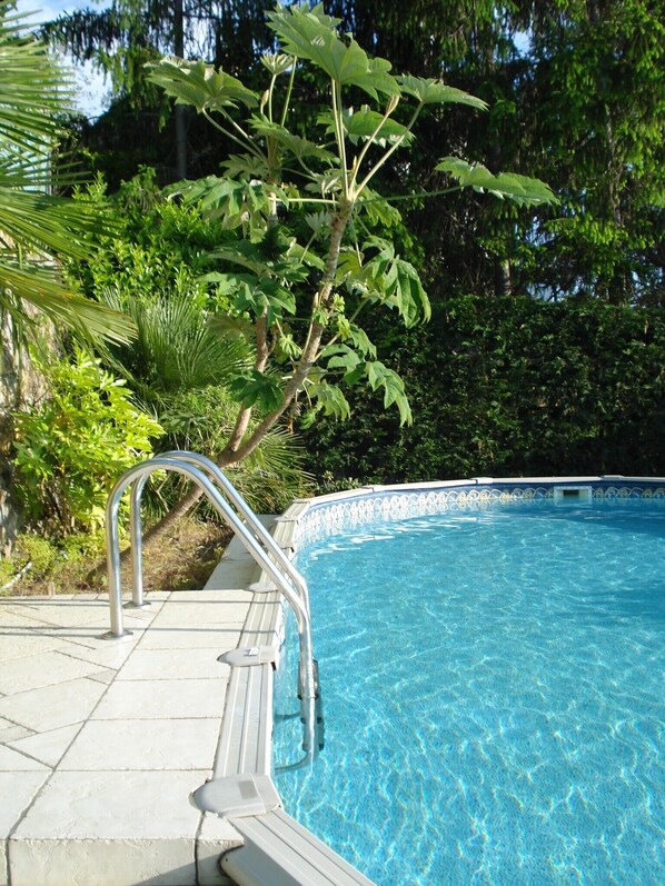 A clear blue swimming pool with a metal ladder leading into it, surrounded by lush greenery. - Principality of Seborga Villa apartment with pool. (Seborga)