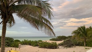 A beach with a yellow inflatable raft, palm trees, and a view of the ocean. - BEROCO Front Beach House Yucatan Wi-Fi, Pool, Smart Tv (Uaymitun)