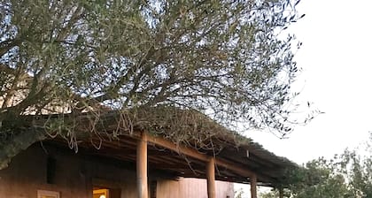 Ganz besonderes Ferienhaus in einer ländlichen Landschaft, umgeben von alten Felsen