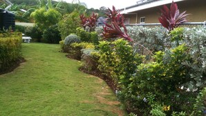 Un jardin bien entretenu, agrémenté de divers arbustes et doté d’un chemin clairement défini.