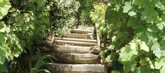 House / Villa - Haulies