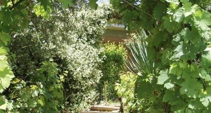 House / Villa - Haulies