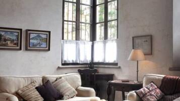 Älytelevisio, takka, kirjoja, videokirjasto