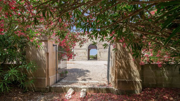 Une entrée en arc surmontée d’un chemin de gravier qui la traverse, le tout bordé de verdure et entouré d’un mur de pierre.