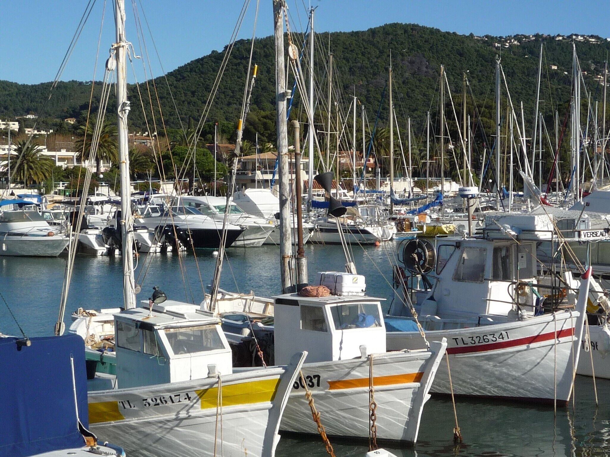 Marina