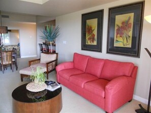 Smart TV, DVD player, music library, video library