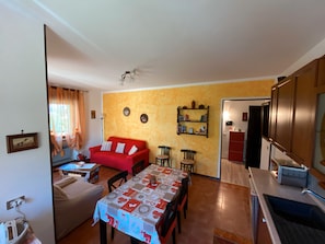 Flat-screen TV, DVD player, books, video library