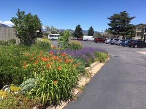 Un estacionamiento con vehículos, un jardín con diversas plantas y flores, y un edificio al fondo.