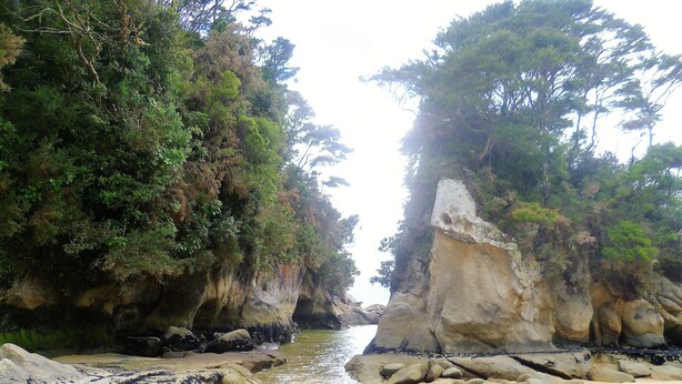 A natural landscape with a rocky beach, a narrow water channel, and dense greenery.