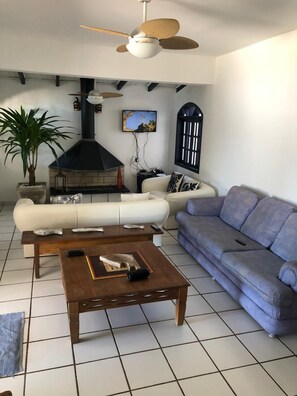 Smart-TV, Kamin