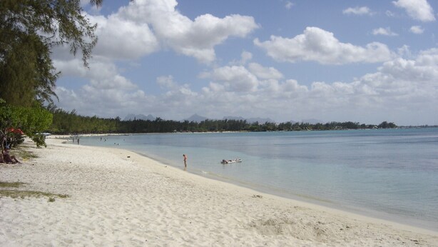 Une plage de sable blanc, une eau d’un bleu limpide et une rangée d’arbres en arrière-plan.
