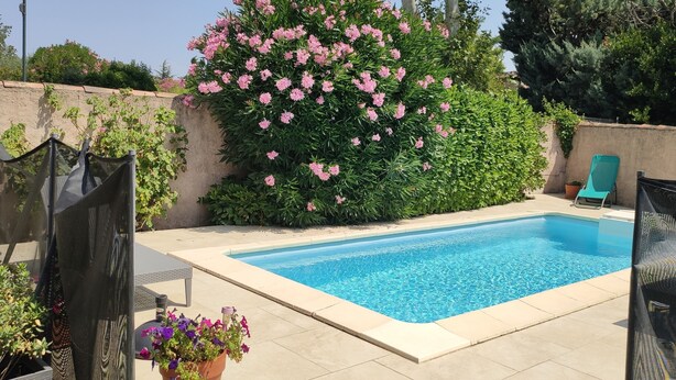 En rektangulär swimmingpool med ett kaklat poolområde, omgiven av frodig grönska och rosa blommande växter.