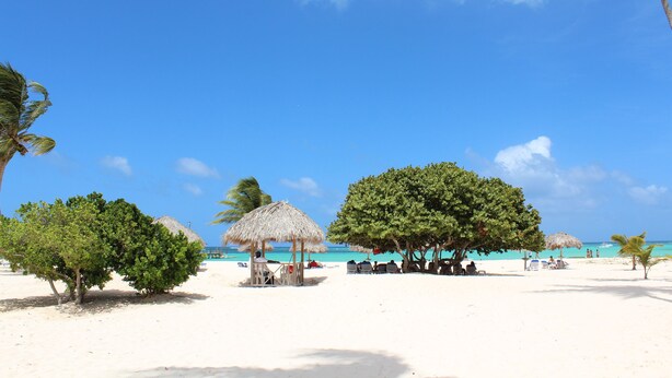 A beach with thatched umbrellas, palm trees, and a clear blue sky. - Fantastic Condo on the Beach. Relax and enjoy the breeze !!! (Bavaro)