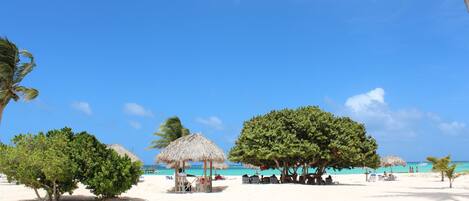 Playa en los alrededores