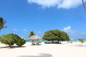 A beach with thatched umbrellas, palm trees, and a clear blue sky. - Fantastic Condo on the Beach. Relax and enjoy the breeze !!! (Bavaro)
