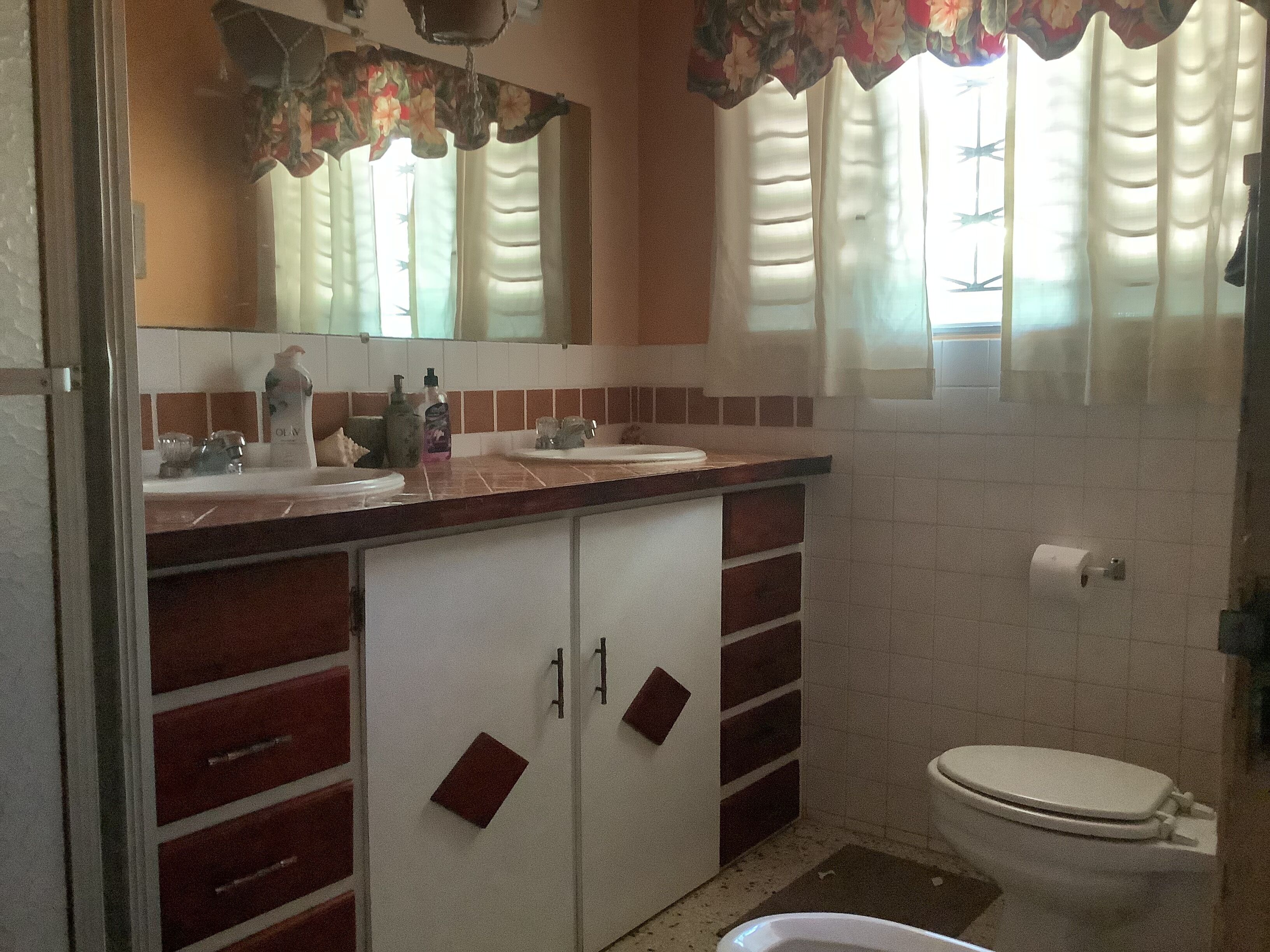 A bathroom with a sink, mirror, toilet, and shower area.