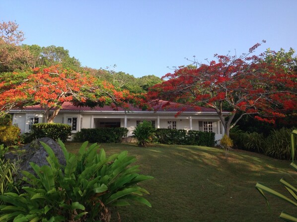 Una casa blanca con techo rojo, rodeada de abundante vegetación y árboles en flor.