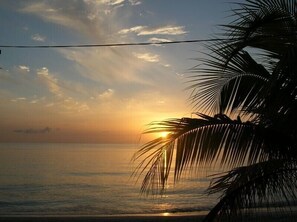 Un atardecer sobre un mar tranquilo, con hojas de palmera en primer plano.
