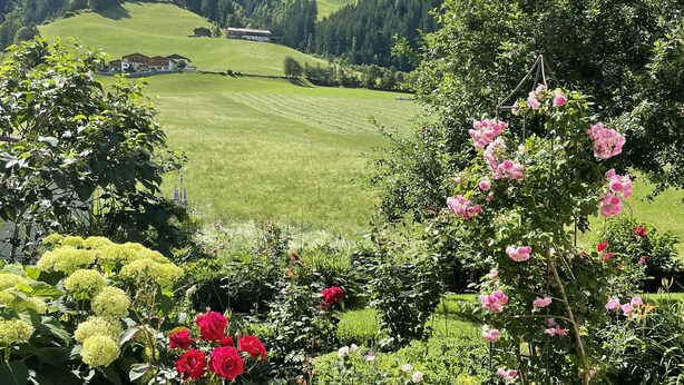 Een weelderige tuin met verschillende bloemen en een uitzicht op een groene vallei en bergen op de achtergrond.