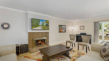 Smart TV, chimenea, reproductor de DVD y libros